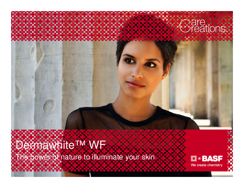 Dermawhite Wf Short Presentation V3