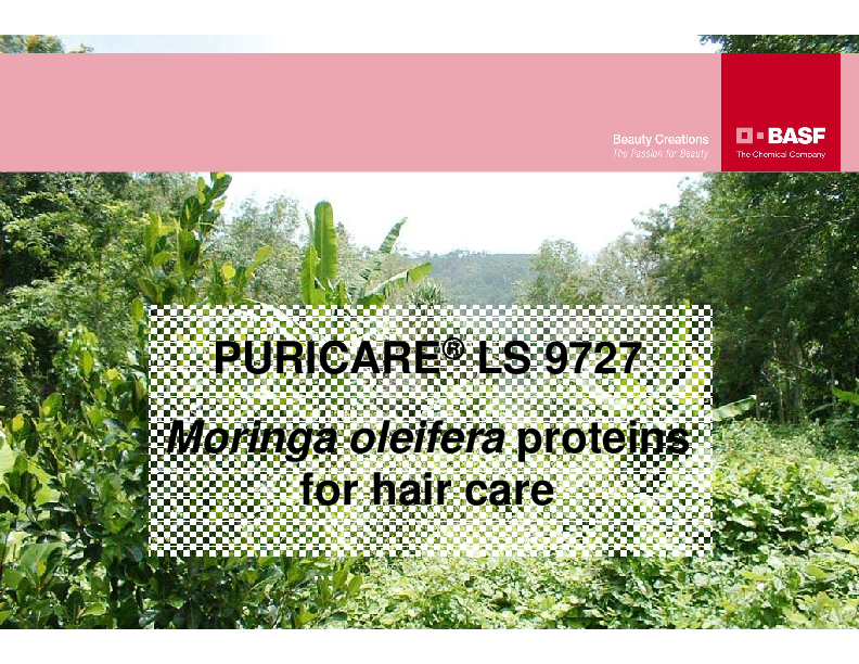 Puricare Hair Care Presentation Rev Maj 2012 07 26 2012