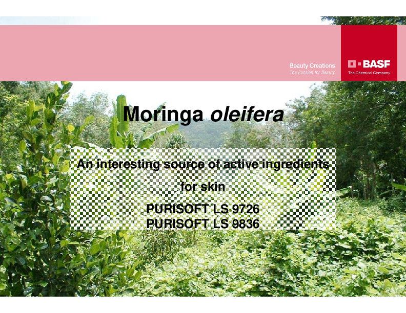 Purisoft Presentation Rev Maj 2012 07 25