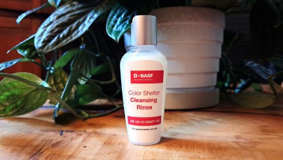 Color Shelter Cleansing Rinse website