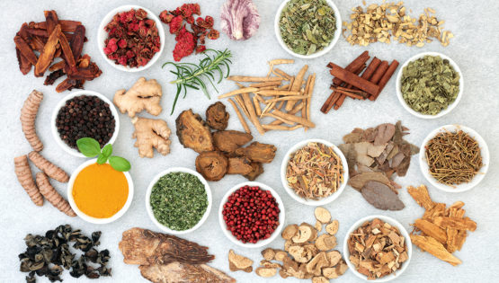 BASF Adaptogens for Personal Care formulation