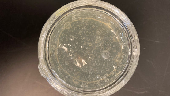 Algae styling gel