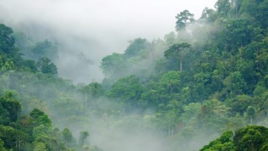 Earth day, saving out green earth